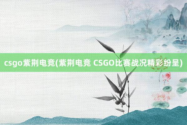 csgo紫荆电竞(紫荆电竞 CSGO比赛战况精彩纷呈)