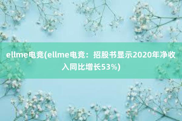 ellme电竞(ellme电竞：招股书显示2020年净收入同比增长53%)