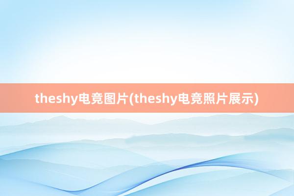 theshy电竞图片(theshy电竞照片展示)