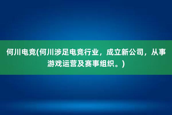 何川电竞(何川涉足电竞行业，成立新公司，从事游戏运营及赛事组织。)