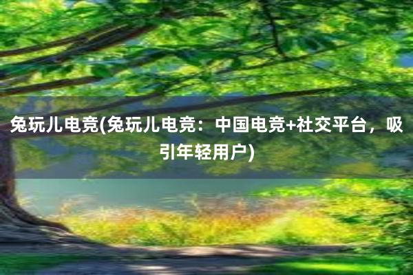 兔玩儿电竞(兔玩儿电竞：中国电竞+社交平台，吸引年轻用户)