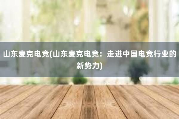 山东麦克电竞(山东麦克电竞：走进中国电竞行业的新势力)