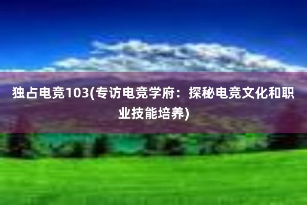 独占电竞103(专访电竞学府：探秘电竞文化和职业技能培养)