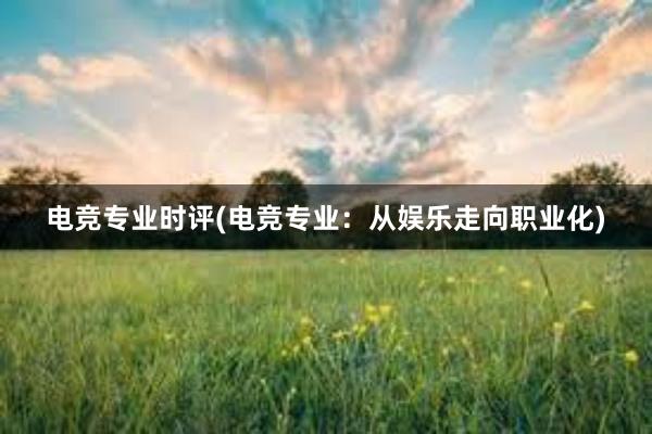 电竞专业时评(电竞专业：从娱乐走向职业化)