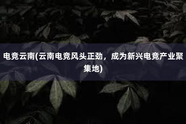 电竞云南(云南电竞风头正劲，成为新兴电竞产业聚集地)