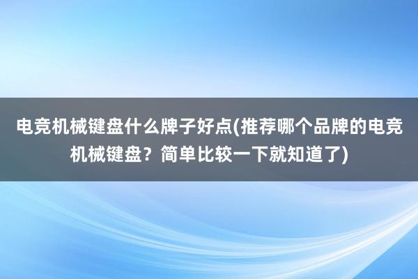 电竞机械键盘什么牌子好点(推荐哪个品牌的电竞机械键盘？简单比较一下就知道了)