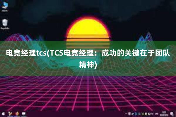 电竞经理tcs(TCS电竞经理：成功的关键在于团队精神)