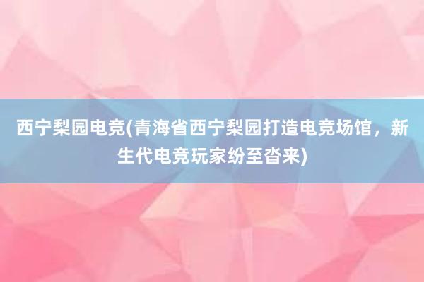 西宁梨园电竞(青海省西宁梨园打造电竞场馆，新生代电竞玩家纷至沓来)