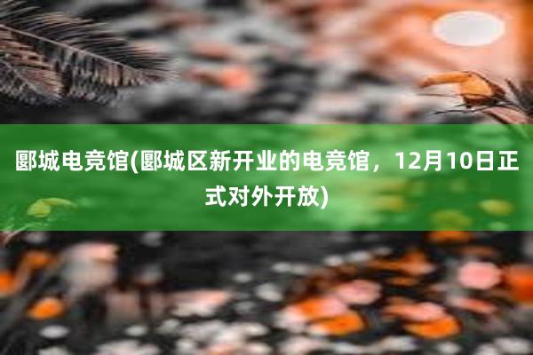 郾城电竞馆(郾城区新开业的电竞馆，12月10日正式对外开放)