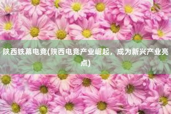 陕西铁幕电竞(陕西电竞产业崛起，成为新兴产业亮点)