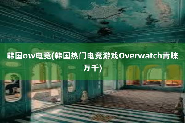 韩国ow电竞(韩国热门电竞游戏Overwatch青睐万千)