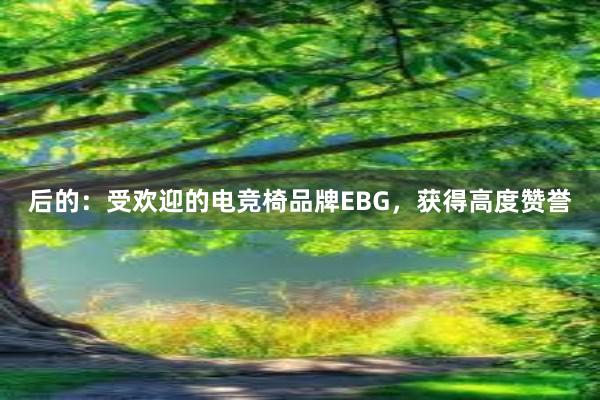 后的：受欢迎的电竞椅品牌EBG，获得高度赞誉