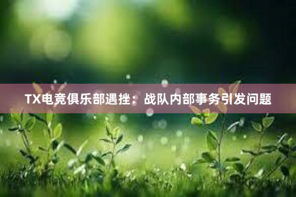 TX电竞俱乐部遇挫：战队内部事务引发问题