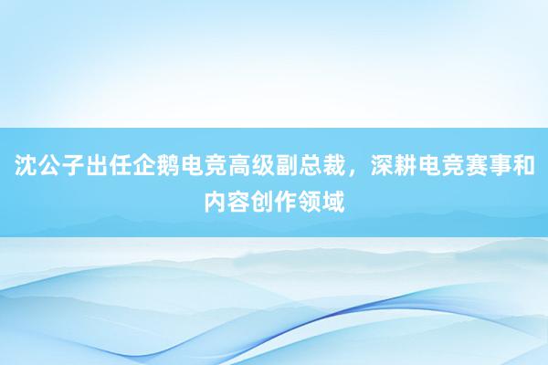 沈公子出任企鹅电竞高级副总裁，深耕电竞赛事和内容创作领域