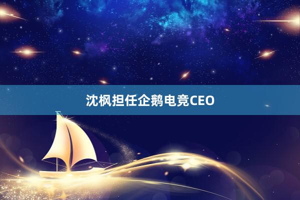 沈枫担任企鹅电竞CEO