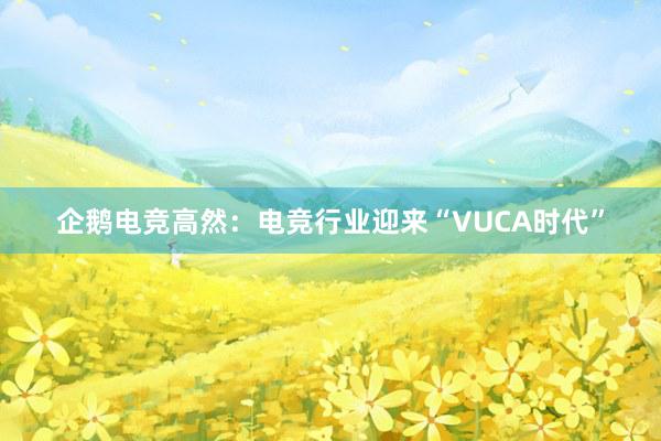 企鹅电竞高然：电竞行业迎来“VUCA时代”