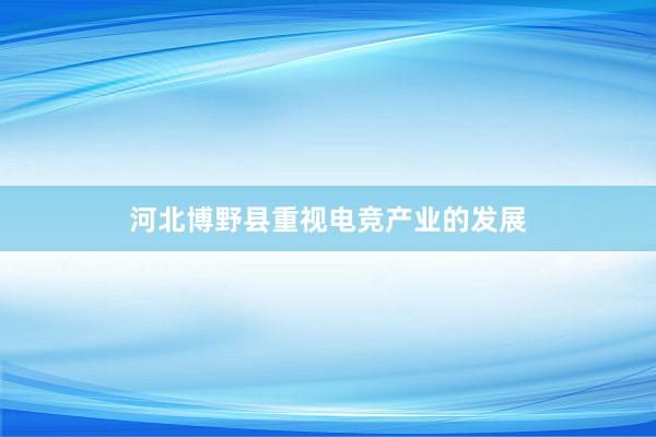 河北博野县重视电竞产业的发展