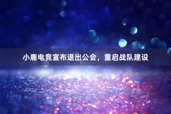 小鹿电竞宣布退出公会，重启战队建设