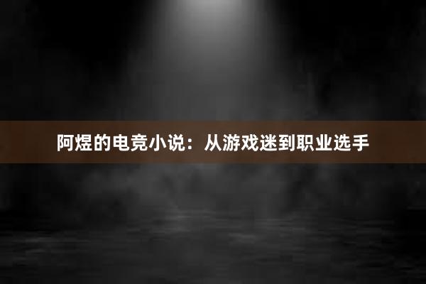 阿煜的电竞小说：从游戏迷到职业选手