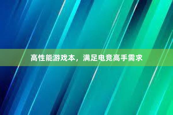 高性能游戏本，满足电竞高手需求