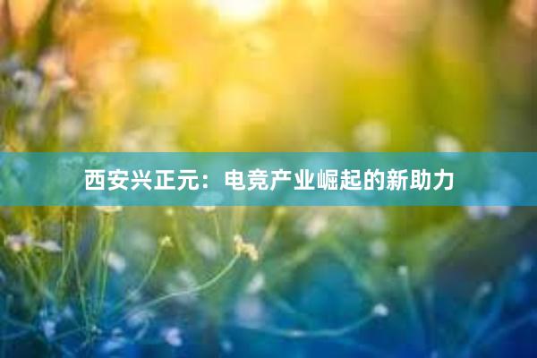 西安兴正元：电竞产业崛起的新助力